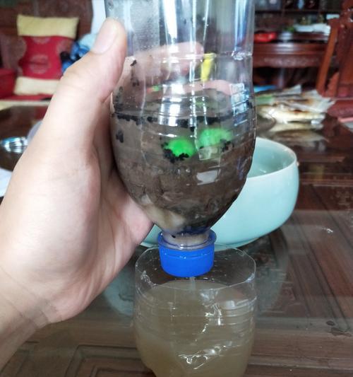 自制创意净水器（创意净水器DIY方法大公开）