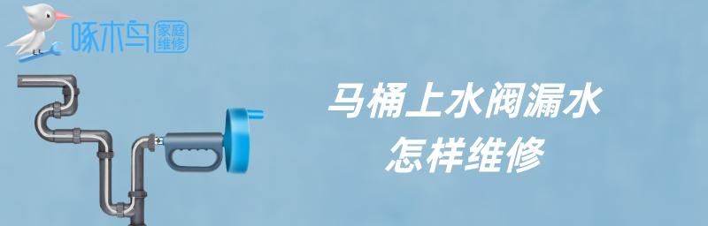 马桶不上水的原因及维修方法（解决马桶不上水问题的实用指南）